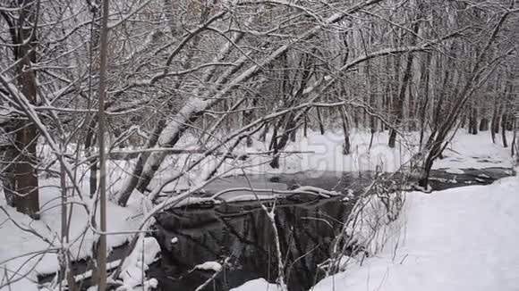江在冬林中春流自融雪树上覆雪视频的预览图