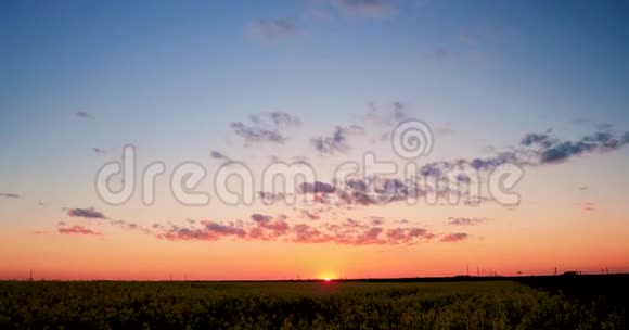 太阳照耀在日落的日出越过春天的地平线油菜油籽田草你的花视频的预览图