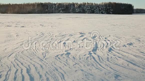 冬季主题雪中的田野和森林在晴朗的天气和巨大的霜冻视频的预览图