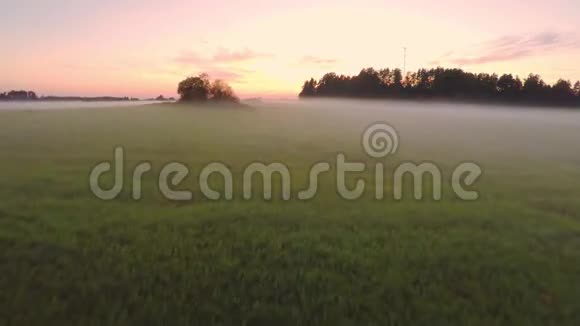 雾笼罩绿野黄昏傍晚空中镜头视频的预览图