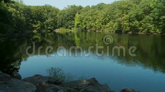 美丽的湖泊环绕着绿色植物5分之3视频的预览图