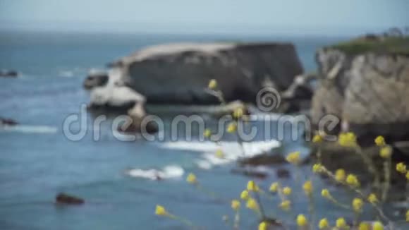 加州皮斯莫海滩附近的坚固岩石视频的预览图