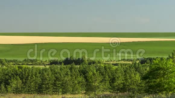 拖拉机在肥料收获干草农业领域工作视频的预览图