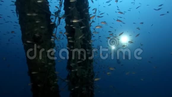 在深沉的沉船上潜水在神秘的沉船上航行视频的预览图
