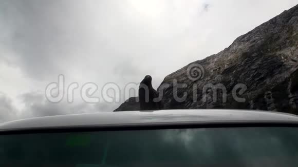 新西兰青山中一辆汽车的屋顶上的鸟视频的预览图