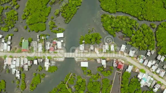 从空中可以看到红树林菲律宾西亚高视频的预览图