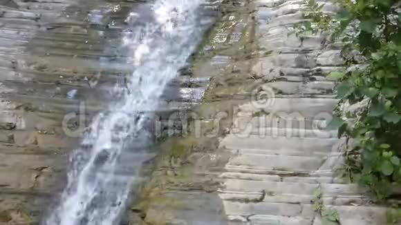干净的水从森林中的老岩瀑布中掉下来视频的预览图