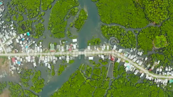 鸟瞰该镇在红树林菲律宾西亚高视频的预览图