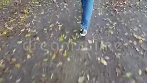 年轻女子在秋天公园散步视频的预览图