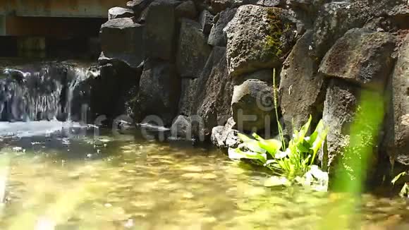 大自然美丽的瀑布视频的预览图