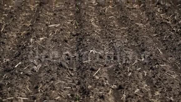 拖拉机在一个干燥的尘土飞扬的农场里视频的预览图