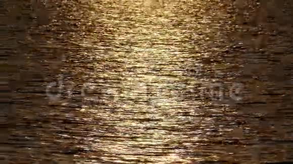 湖中的水反射在缓慢的运动中失去焦点金色的纹理视频的预览图