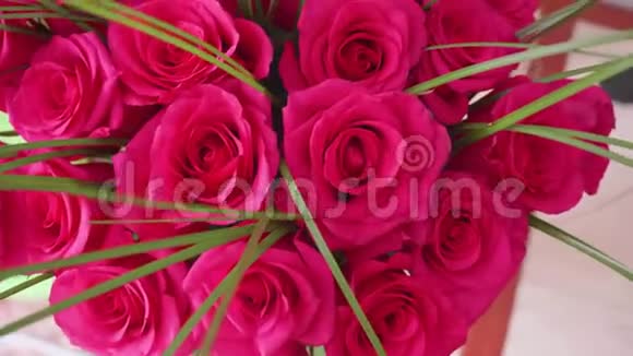 美丽的红玫瑰花花束特写视频的预览图
