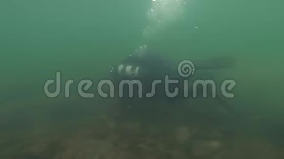 潜水员在浅水中探索岩石底部年轻的潜水员训练慢动作潜入山湖视频的预览图