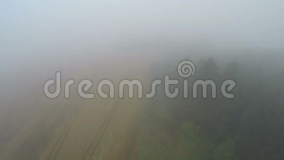 空中景色夏季雾蒙蒙的早晨农田视频的预览图