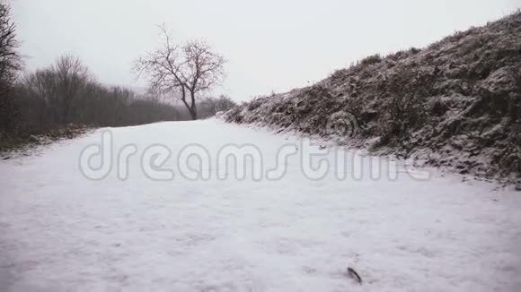 奥地利冬季缓慢运动的轻雪视频的预览图