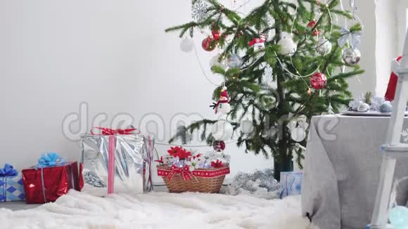 时尚的白色圣诞节内部装饰杉树靠窗慢动作3840x21604k视频的预览图