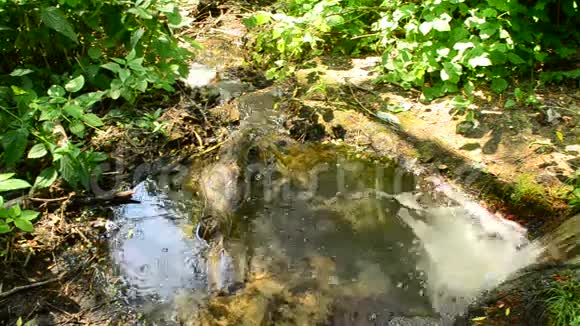 夏天有小瀑布流过急流的小溪视频的预览图