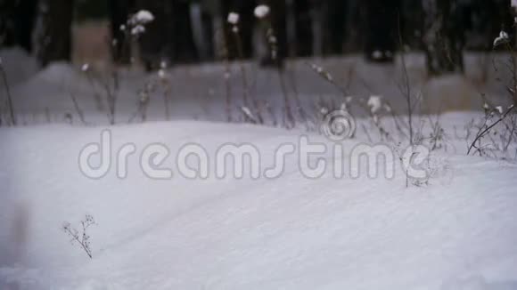 在雪天的冬天森林里人们在深雪中奔跑慢动作视频的预览图