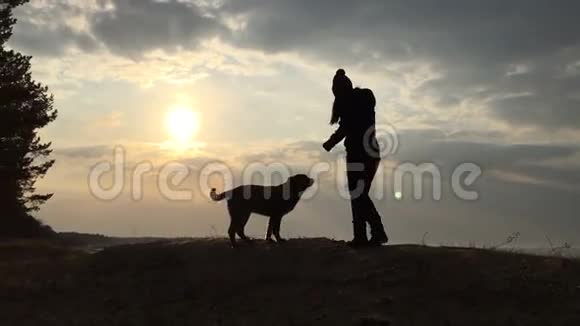 女孩和狗对着天空和太阳的剪影视频的预览图