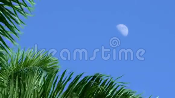 在中午的时候用可见的半月光从加勒比海蓝天拍摄视频的预览图