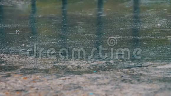 雨滴穿过水坑视频的预览图