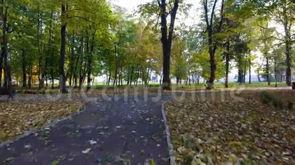 城市公园秋天自然风光的空中镜头视频的预览图