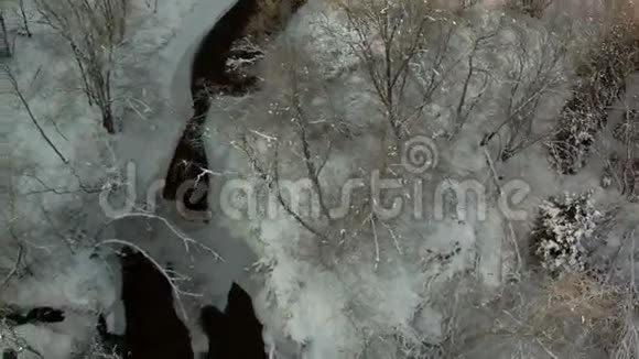 从森林中冰冻河流上方看视频的预览图