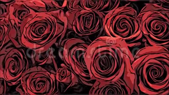 作物从上面看一大束精致的红玫瑰视频的预览图