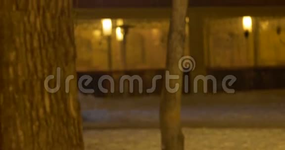 夜间冬季户外灯笼视频的预览图