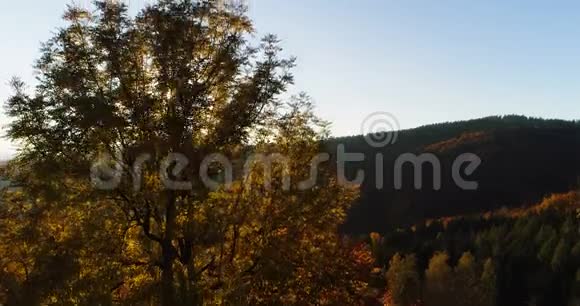鸟瞰日出日落森林视频的预览图