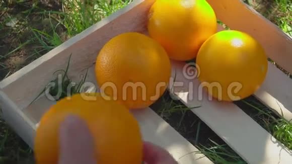 手把成熟的橘子放进木箱里视频的预览图