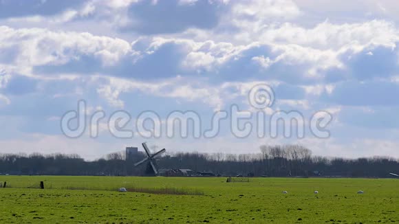 历史风车牧场荷兰视频的预览图