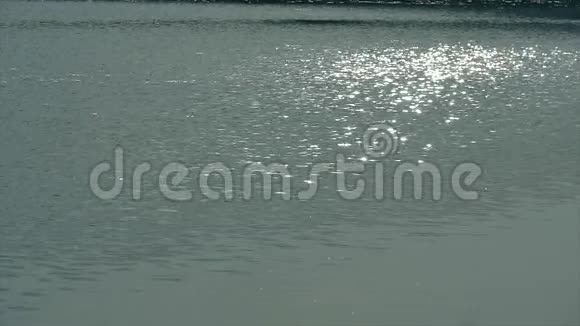 具有形状纹理慢动作的水的抽象金色反射视频的预览图