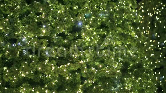 圣诞树的灯在镜头中间闪烁着架子的焦点视频的预览图
