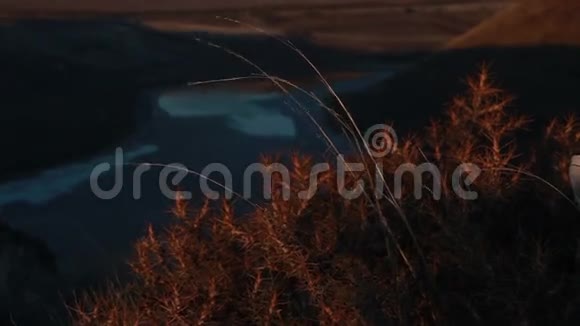 自然河流湖泊对风力植物的影响2016年视频的预览图