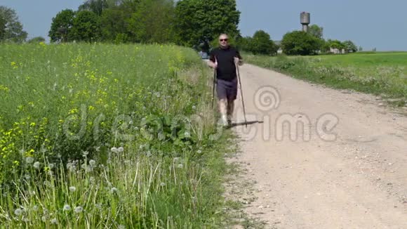 夏天在农村公路上用手杖徒步旅行者视频的预览图
