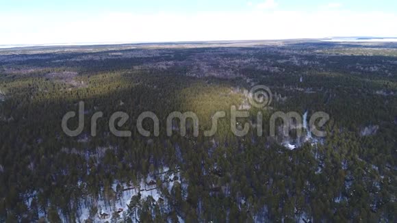 用无人机射击树林视频的预览图