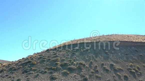 两只美洲狮在山顶上追逐视频的预览图