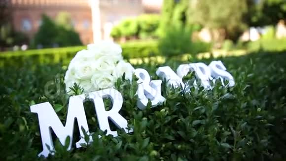 先生太太和太太带着鲜花在草地上签名结婚视频的预览图