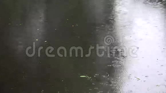 大雨倾盆溅到水池上特写镜头4K视频的预览图