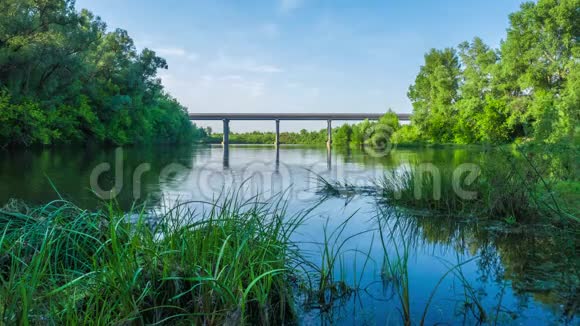 这条河在桥下流着一个阳光明媚的夏日自然旅游时光视频的预览图