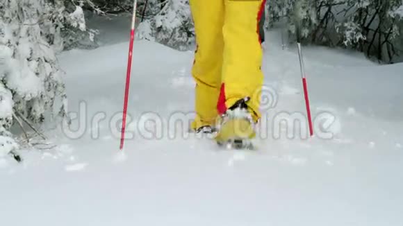 老年人在冬季滑雪视频的预览图