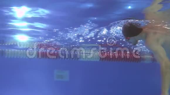 水下景观给专业游泳运动员游泳爬行划水池视频的预览图