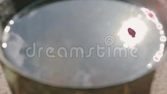 一个小女孩触摸太阳的倒影视频的预览图