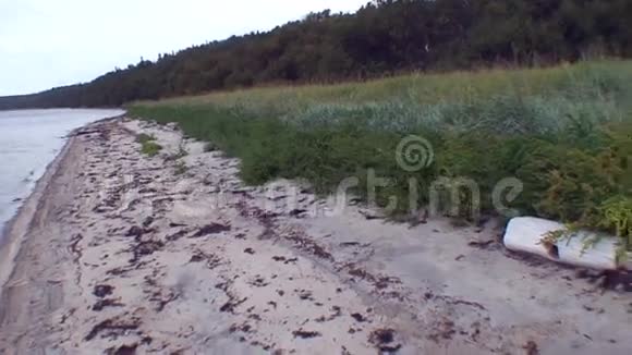 白海岸边浸泡在水中的木原木视频的预览图