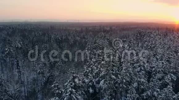 冬季森林的空中飞行在白雪皑皑的森林中飞翔太阳落山白雪皑皑视频的预览图