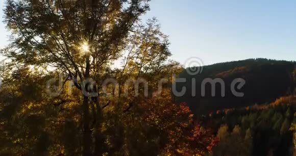 鸟瞰日出日落森林视频的预览图