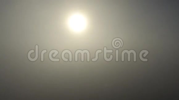 浓雾覆盖了乌克兰暴露的森林景观视频的预览图