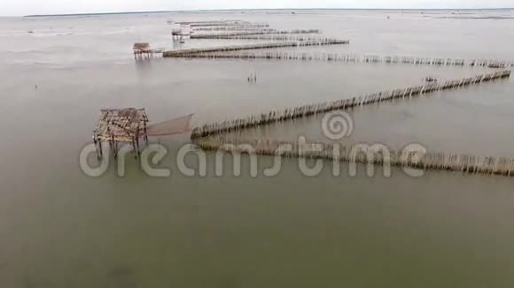 当地渔业码头牡蛎视频的预览图